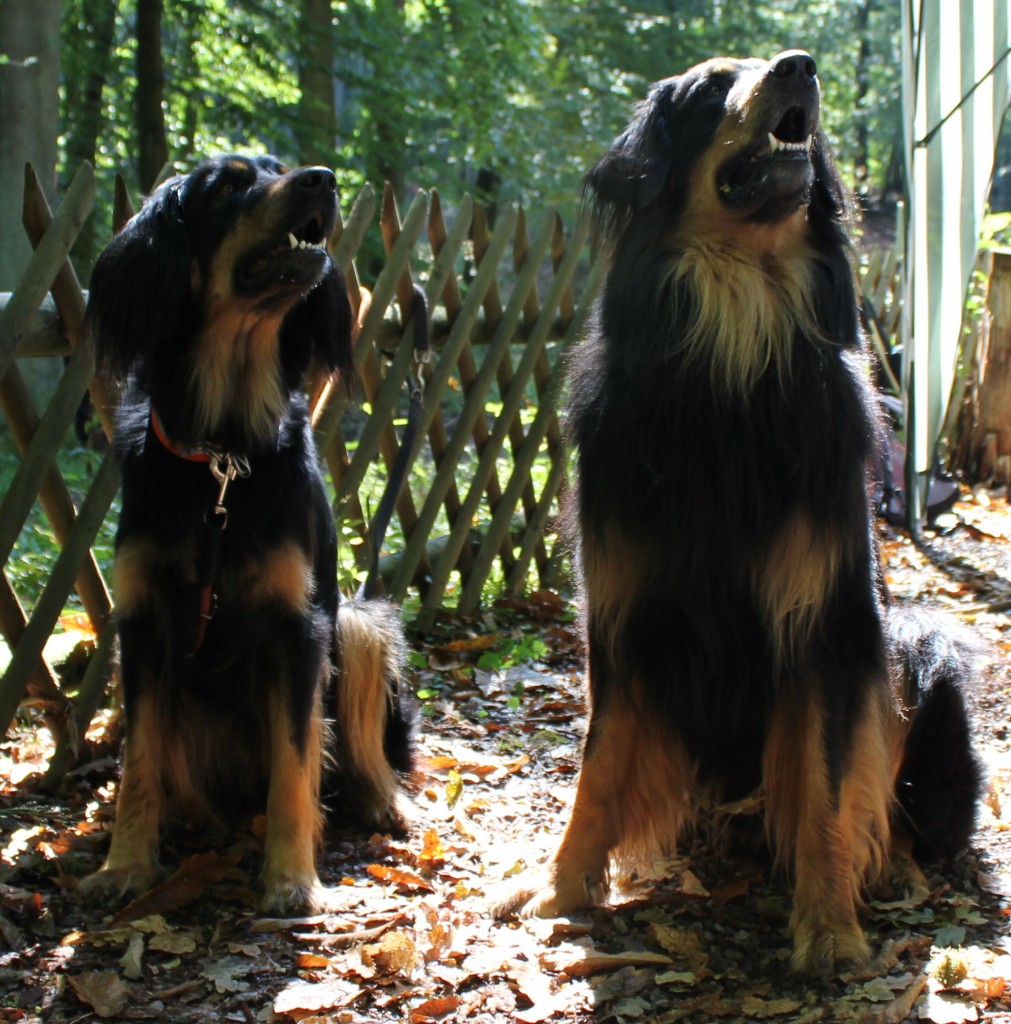 Gladys und Fedor im September 2011