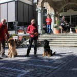 Start zum Einzelparcour mit Günter & Geoffroy