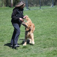 Geoffroy mit Cornelia